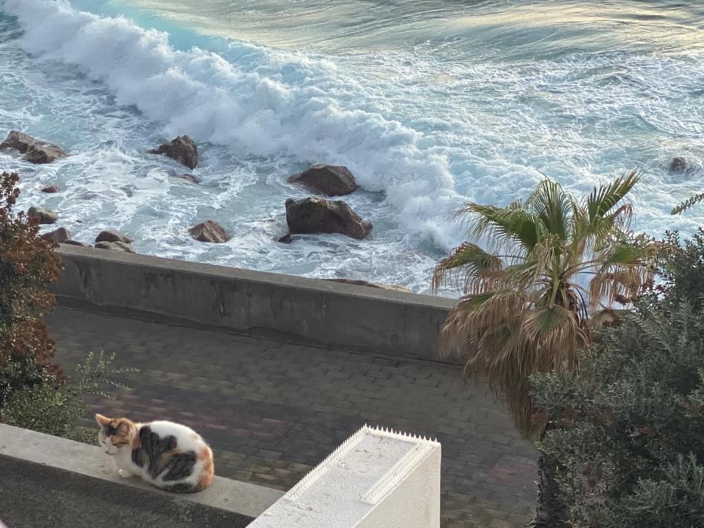 滨海雅尔丁Sea house别墅 外观 照片